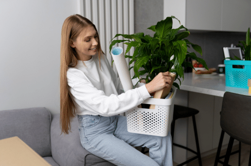 Steps to Create a Calmer Home Environment