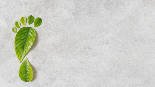 Reduce Your Carbon Footprint at Home